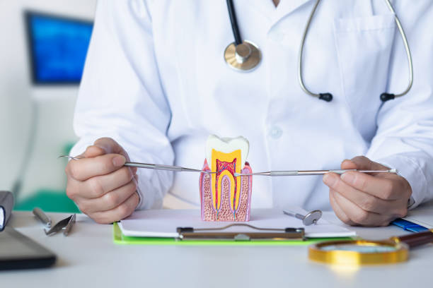 Best Emergency Treatment for Dental Infections or Abscesses in Window Rock, AZ